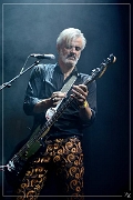 NIK_87318 Triggerfinger 21-11-2018 (Zz) (p)